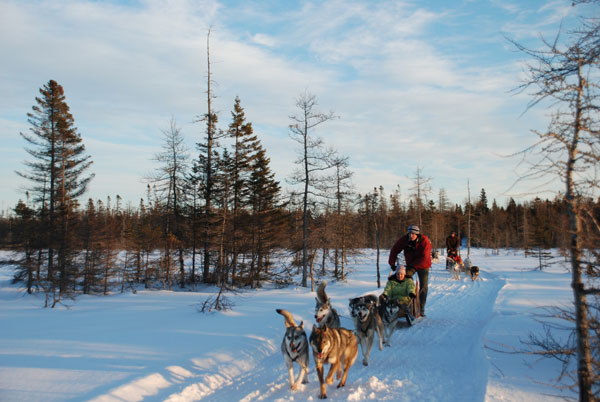 Traineau à chien